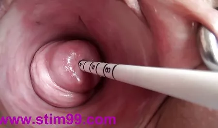 华丽的黑发青少年梅根需要脂肪公鸡2